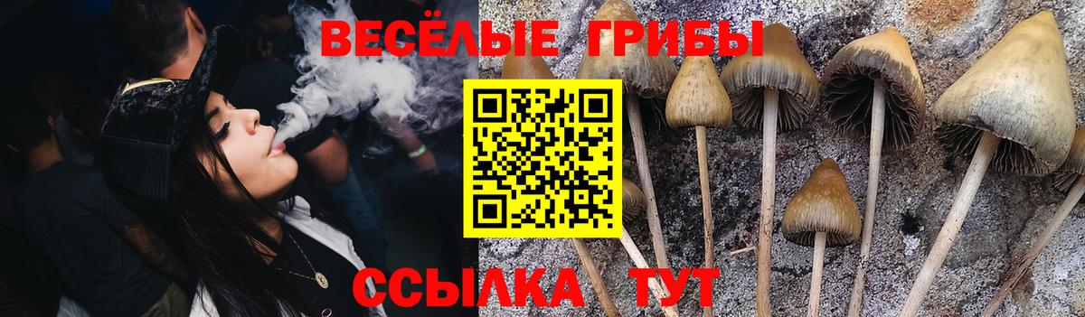 Галлюциногенные грибы ЛСД  Вход с VPN  Брянск 